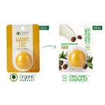 Buy Organic Harvest Moisturizing Lip Balm: Shea Butter| Lip Balm for Women, Men & Kids| 100% American Certified Organic | Paraben & Sulphate-free-8gm - Purplle
