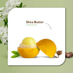 Buy Organic Harvest Moisturizing Lip Balm: Shea Butter| Lip Balm for Women, Men & Kids| 100% American Certified Organic | Paraben & Sulphate-free-8gm - Purplle