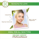 Buy Organic Harvest Moisturizing Lip Balm: Shea Butter| Lip Balm for Women, Men & Kids| 100% American Certified Organic | Paraben & Sulphate-free-8gm - Purplle