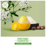 Buy Organic Harvest Moisturizing Lip Balm: Shea Butter| Lip Balm for Women, Men & Kids| 100% American Certified Organic | Paraben & Sulphate-free-8gm - Purplle