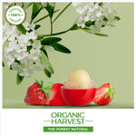 Buy Organic Harvest Moisturizing Lip Balm: Strawberry | Lip Balm for Women & Men | 100% American Certified Organic | Sulphate & Paraben-free - 8g - Purplle