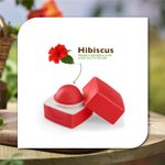 Buy Organic Harvest Red Tinted Lip Balm: Hibiscus | Lip Balm for Women & Men | For All-round Lip Care | Lip Balm Tint | 100% American Certified Organic | Sulphate & Paraben-free 10gm - Purplle