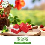 Buy Organic Harvest Red Tinted Lip Balm: Hibiscus | Lip Balm for Women & Men | For All-round Lip Care | Lip Balm Tint | 100% American Certified Organic | Sulphate & Paraben-free 10gm - Purplle