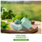 Buy Organic Harvest High Gloss Lip Balm: Green Tea | Lip Balm for Women & Men | Organic Lip Balm to Lighten Dark Lips | 100% American certified organic | Sulphate & Paraben-free | 10gm - Purplle