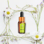 Buy Organic Harvest Essential Oil - Chamomile Roman (10 ml) - Purplle
