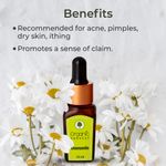 Buy Organic Harvest Essential Oil - Chamomile Roman (10 ml) - Purplle