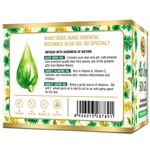 Buy Oriental Botanics 90% Aloe Vera Skin Gel (With Almond & Wheatgerm Oil) 100g - No Parabens, Silicon, Mineral Oil - Purplle