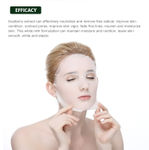 Buy Mond'Sub Bluberry Nourishing Facial Mask - Purplle