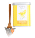 Buy Gardner Street Tea - Lemon Aid - 20 Silken Sachets - Purplle