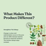 Buy Kapiva Stone Go Juice - 1 L - Purplle