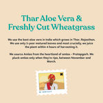 Buy Kapiva Aloe + Wheatgrass Juice - Natural Detoxifier 1L - Purplle