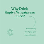 Buy Kapiva Wheatgrass Juice - 1 L - Purplle
