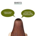 Buy Jovees Herbal Mehandi/Henna Powder | With Amla, Shikakai & Brahmi Powder | For Extra Conditioning | Control Hair Fall & Repairs Damaged Hair 150g - Purplle