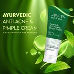 Buy Jovees Anti Acne & pimple Cream 60 g - Purplle