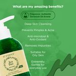 Buy ST. DA´VENCE Essential Tea Tree Oil Deep Skin Cleansing Face Wash (150 ml) - Purplle