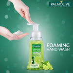 Buy Palmolive Hydrating Foaming Lime & Mint Liquid Hand Wash, Removes Germs, Refreshing Fragrance (250 ml) Dispenser Bottle - Purplle