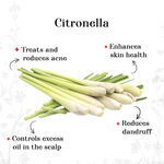 Buy Alps Goodness Pure Essential Oil - Citronella (10 ml) - Purplle