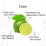Buy Alps Goodness Pure Essential Oil - Lime (10 ml) - Purplle