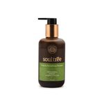 Buy Soultree Triphala Revitalising Shampoo With Henna & Shikakai, For Normal To Dry Hair (250 ml) - Purplle
