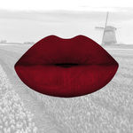 Buy I-AmsterDAMN Matte Lipstick, Darwin Hybrid, Red - Design Impression 10 - Purplle