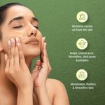 Buy Lotus Herbals Teatreewash Face Wash | with Tea Tree Oil & Cinnamon | Anti Acne | Oil Control | For Oily Skin | 80ml - Purplle