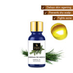 Buy Good Vibes Pure Essential Oil - Siberian Fir Needle (10 ml) - Purplle