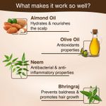 Buy Aryanveda Almond & Olive Hair Oil (200 ml) - Purplle