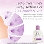 Buy Lacto Calamine Oil Balance Lotion (For Oily Skin) (120 ml) - Purplle