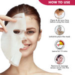 Buy Inatur Pomegranate Sheet Mask (38 g) - Purplle