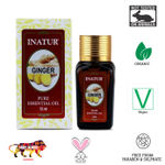 Buy Inatur Ginger Pure Essential Oil (12 ml) - Purplle