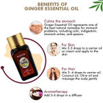 Buy Inatur Ginger Pure Essential Oil (12 ml) - Purplle