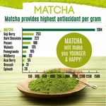 Buy KimiNo Japanese Organic Matcha Green Tea Powder - 100 gms - with free recipe Ebook - Purplle