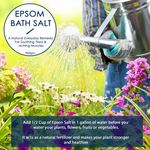 Buy Wishcare Epsom Bath Salt - For Soothing, Tired and Aching Muscles- 950 gms - Purplle