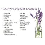 Buy WishCare Pure Lavender Essential Oil - 60 ML - Purplle