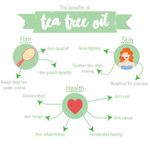 Buy WishCare Pure Tea Tree Essential Oil - 15 ML - Purplle