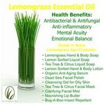 Buy WishCare Pure Lemongrass Essential Oil - 15 ML - Purplle