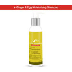 Buy Alps Goodness Moisturizing Shampoo - Ginger & Egg (200 ml) - Purplle