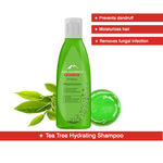 Buy Alps Goodness Hydrating Shampoo - Tea Tree (50 ml) - Purplle