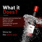 Buy Qraa Men Wine Shampoo - Purplle