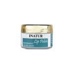 Buy Inatur Peppermint & Black Seed Lip Polish (10 g) - Purplle