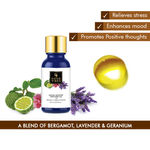 Buy Good Vibes Mood Uplifter Diffuser Oil With Bergamot, Lavender & Geranium (10 ml) - Purplle