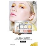 Buy CVB Paris Professional Make-Up Palette Blush & Contour (16 g) - Purplle