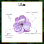 Buy Good Vibes Refreshing Face Scrub - Lilac (50 gm) - Purplle