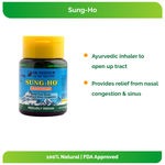 Buy Dr. Vaidya's Sung-Ho (Ayurvedic Inhaler) - Purplle
