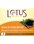 Buy Lotus Herbals Wheatnourish Wheatgerm Oil & Honey Massage Cream | Rejuvenates Skin | For All Skin Types | 50g - Purplle