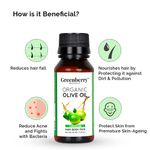 Buy Greenberry Organics Organic Olive Oil for Face Body & Hair (50 ml) - Purplle
