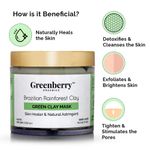 Buy Greenberry Organics Brazilian Rainforest Green Clay Mask (100 g) - Purplle
