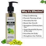 Buy Inatur Amla Hair Repair Shampoo (200 ml) - Purplle