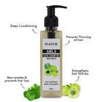 Buy Inatur Amla Hair Repair Shampoo (200 ml) - Purplle