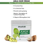 Buy Inatur Amla Hair Cream (100 g) - Purplle